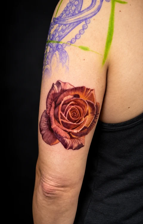 Rose tattoo on an upper arm with unfinished stencil above